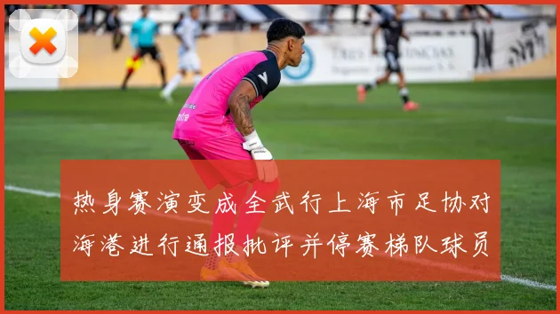 热身赛演变成全武行上海市足协对海港进行通报批评并停赛梯队球员四场