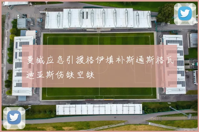 曼城应急引援格伊填补斯通斯格瓦迪亚斯伤缺空缺