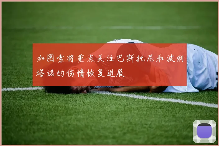 加图索将重点关注巴斯托尼和波利塔诺的伤情恢复进展