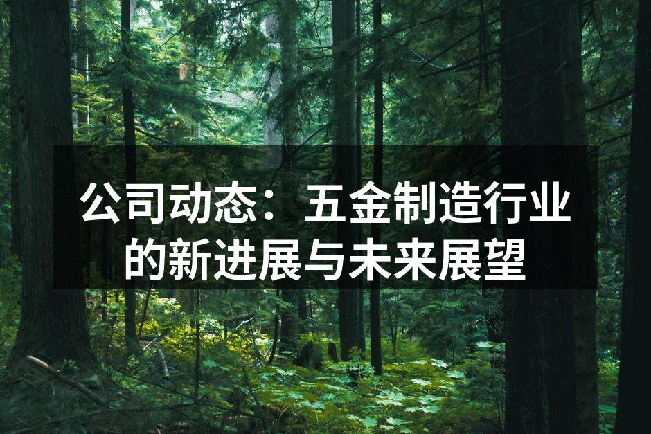 公司动态:五金制造行业的新进展与未来展望