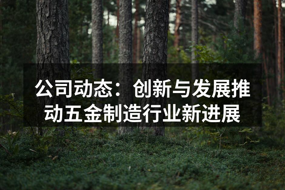 公司动态：创新与发展推动五金制造行业新进展